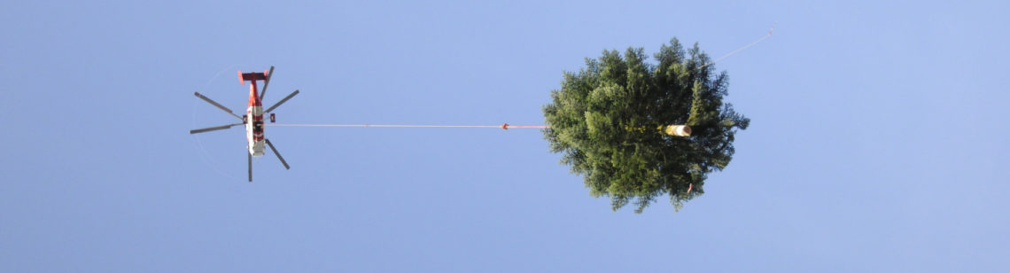 Man sieht einen Helikopter mit einer Tanne 